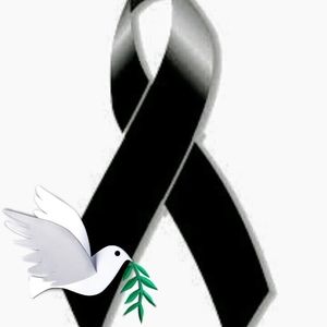 Meet your Posher, Anabel